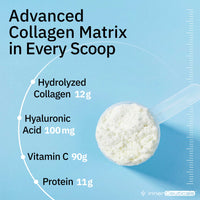 Collagen Peptides Matrix
